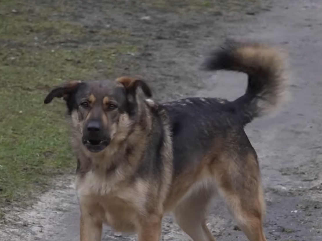 Ekrānuzņēmums no 4. studijas sižeta.