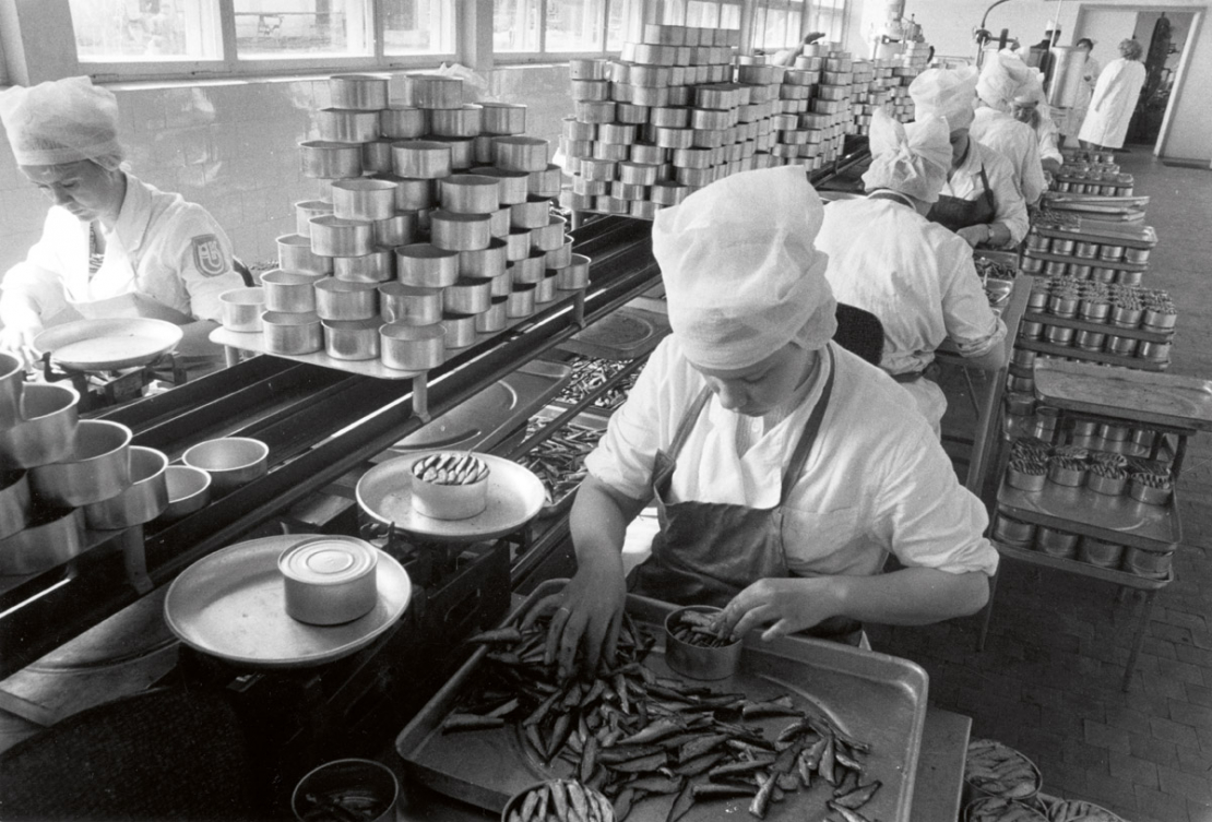 Zivju konservēšanas Kirovas zvejniecības kolhozā netālu no Tallinas, Igaunijā (tolaik Padomju Krievijā). 1966. gads.
