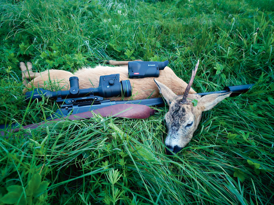 Buks nomedīts jūlija otrajā pusē Pulsar Oryx (Ieskaties.lv) testa medībās.