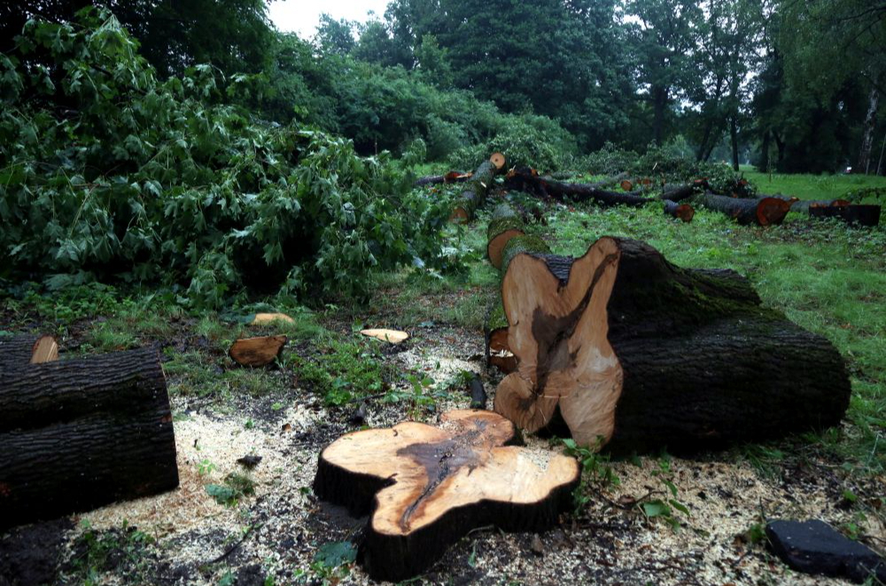 Ilustratīvs attēls.