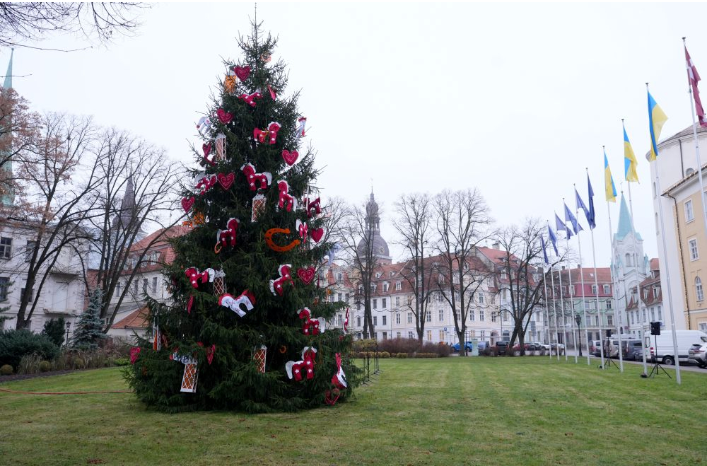 Svētku egle laukumā pie Rīgas pils.