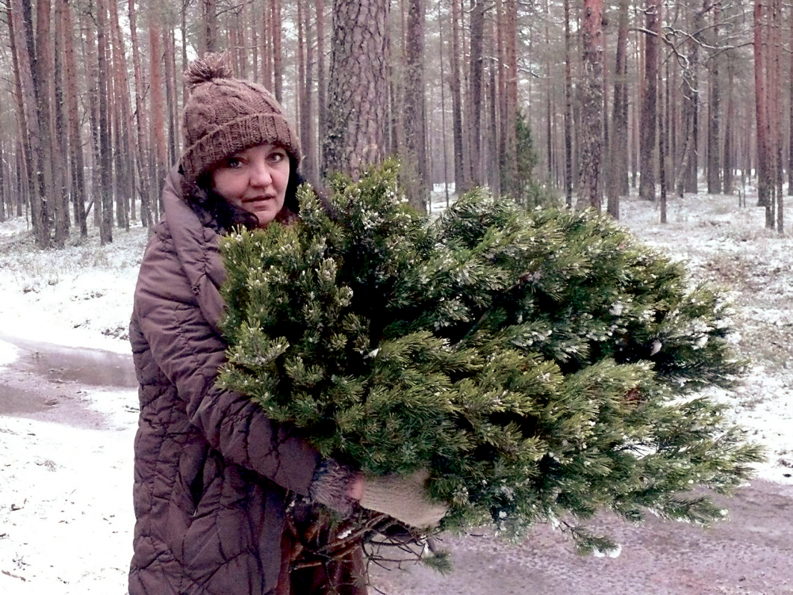 Pati skaistā skujkoku dārza saimniece Irēna Rožkalna ziemīgās noskaņās.