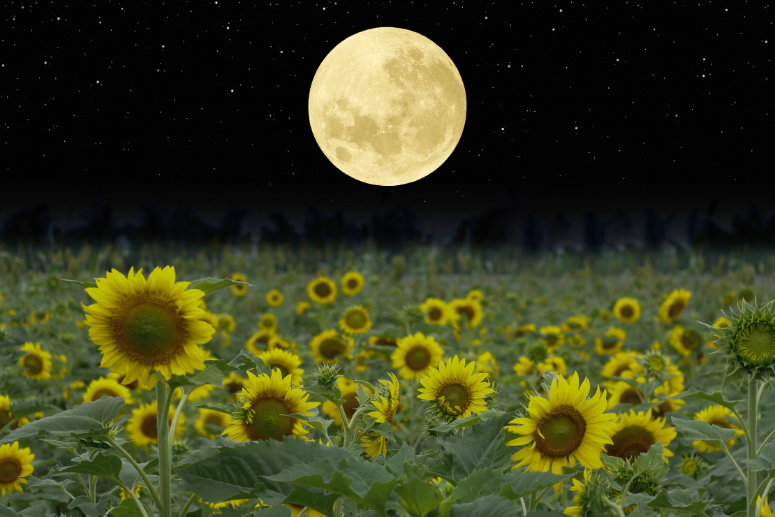 Katru mēnesi 27 diennaktīs Mēness debesjumā atkārto Saules gada ceļu.