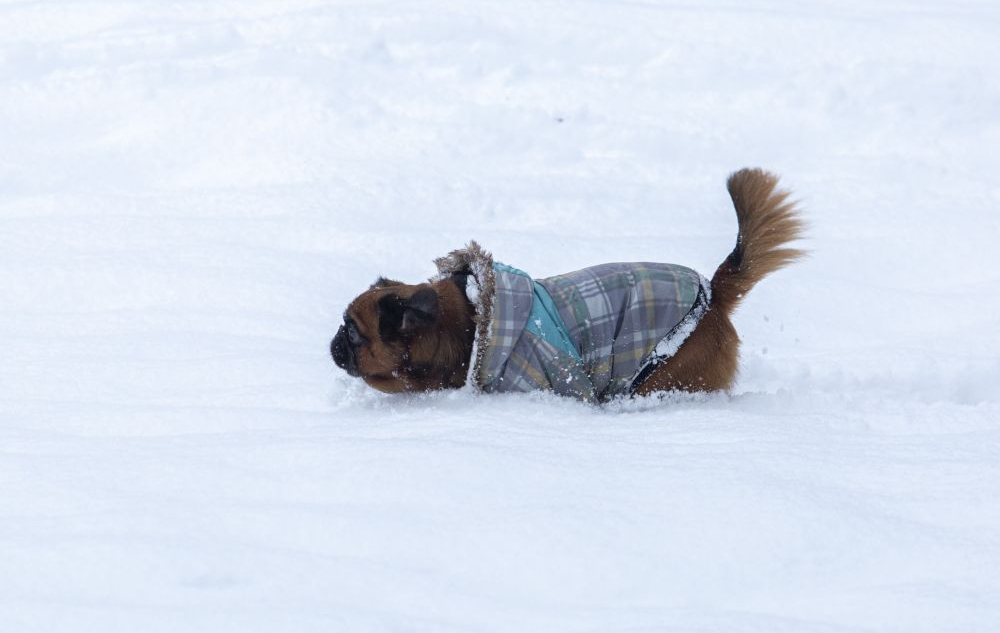 Ziema. Ilustratīvs attēls. 