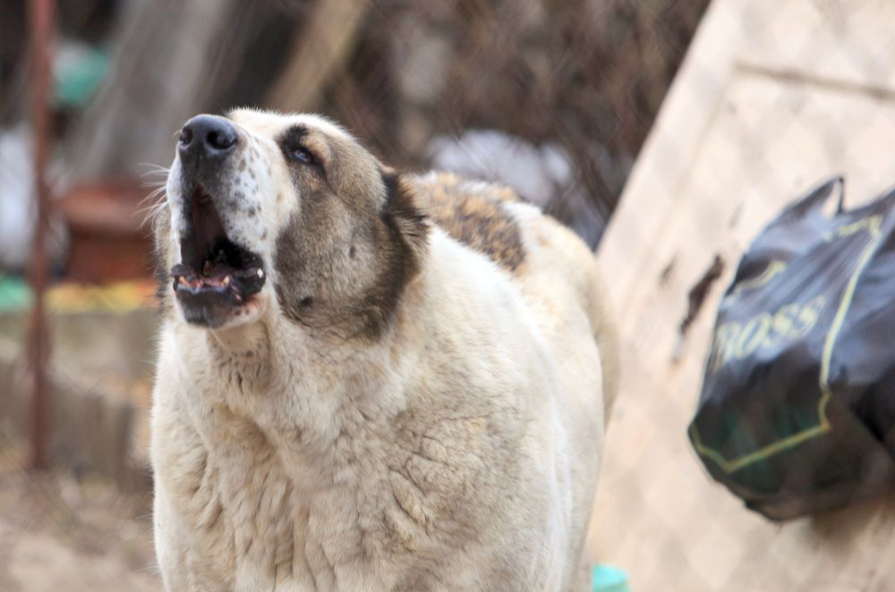 Ilustratīvs attēls.