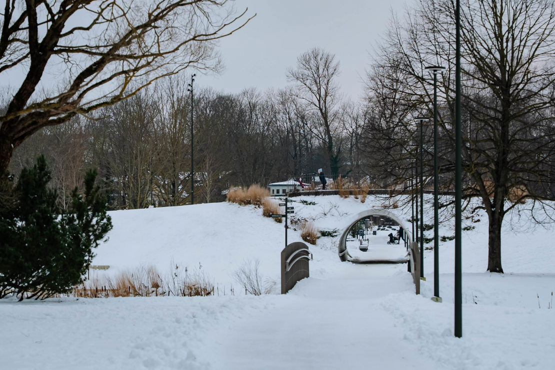 Ziemas prieki slēpošanas trasē Uzvaras parkā.