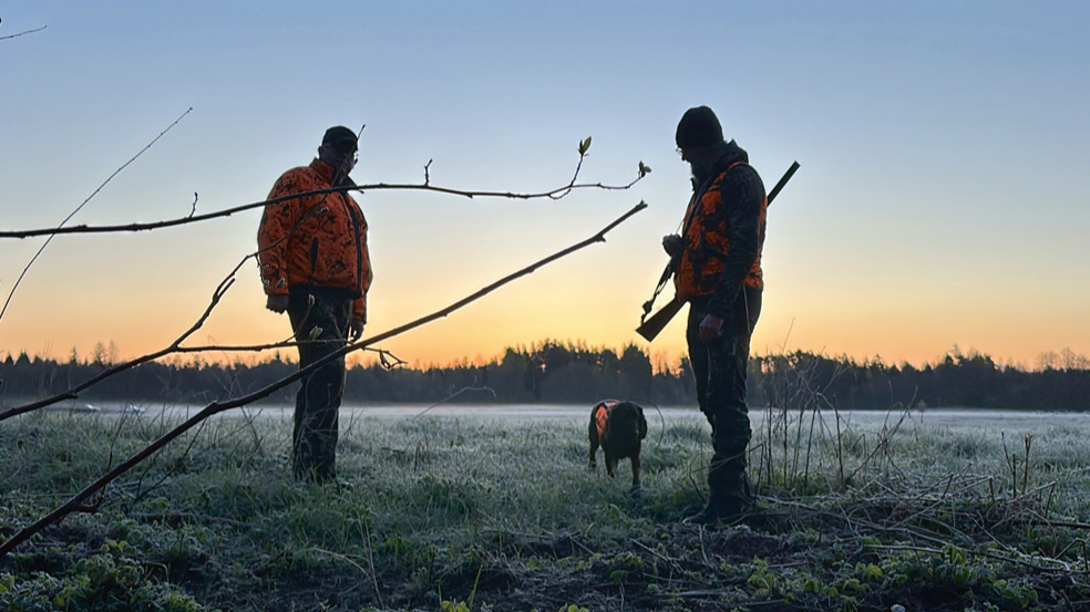 Pēc izsniegtajām sezonas kartēm var secināt, ka aktīvo mednieku skaitam Latvijā ir tendence samazināties.