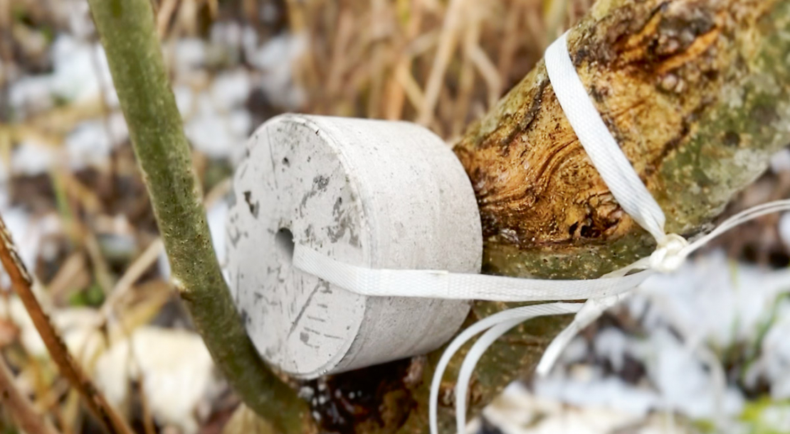 Laizāmā sāls pieejamība ir populācijas veselības uzturēšanas pamata sastāvdaļa.