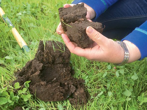 Tāds izskatās auglīgas augsnes profils.