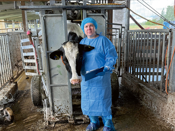 Ilga Šematoviča: "Embriju transference ir iespēja ātrā laikā izveidot tādu ganāmpulku, kādu saimnieks iecerējis, tomēr – lai tas izdotos veiksmīgi, īpaši piena lopkopības saimniecībās, būtisks ir govs olšūnu kvalitātes līmenis."