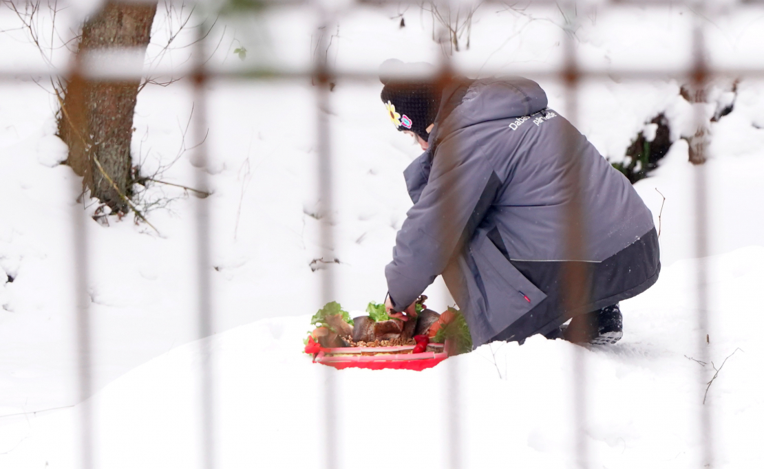 Lācenes Ilzītes 25 gadu jubilejas svinību pasākums Līgatnes dabas takās.