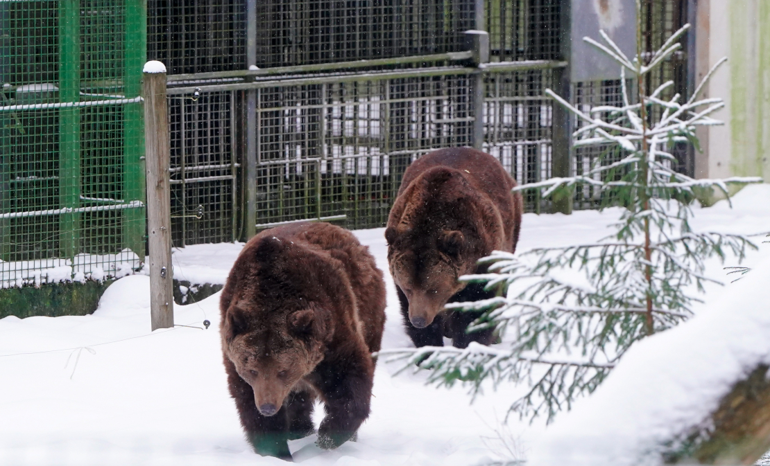 Lācenes Ilzītes 25 gadu jubilejas svinību pasākums Līgatnes dabas takās.