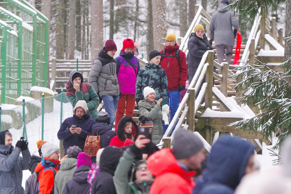 Lācenes Ilzītes 25 gadu jubilejas svinību pasākums Līgatnes dabas takās.