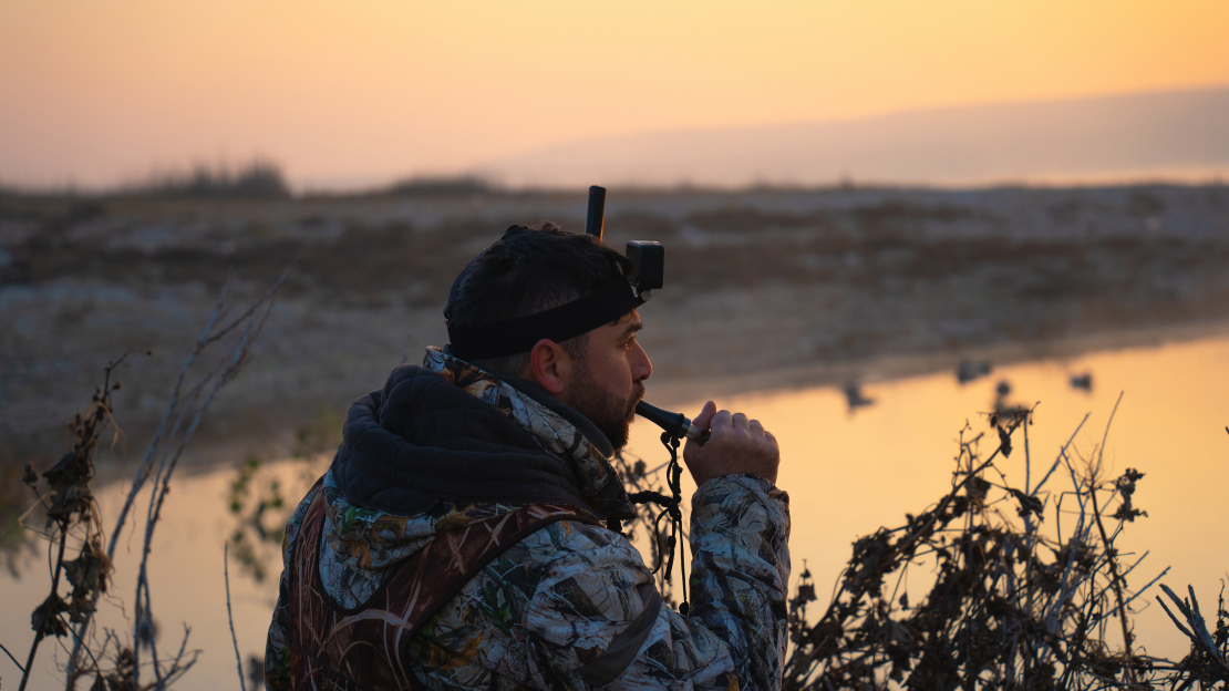 Latvijā ir atļauts pievilināt ūdensputnus, izmantojot putnu mulāžas un svilpes.