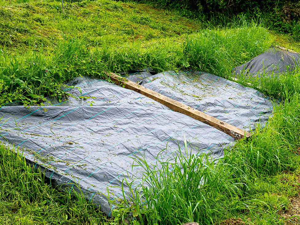 Labs nezāļu iznīcināšanas paņēmiens ir noklāt augsni ar agrotekstilu.