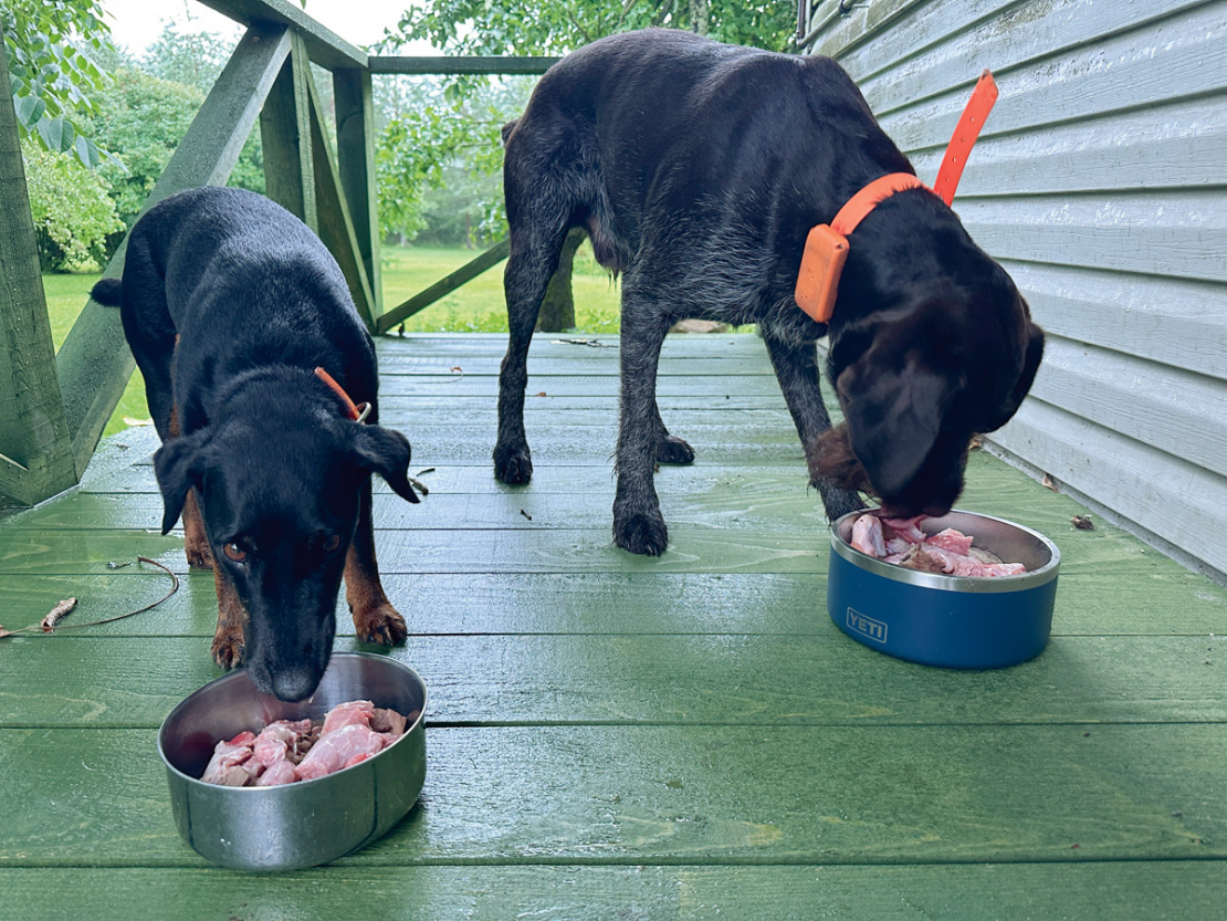 Iekšas – sirds, plaušas, nieres, diafragma, vēdera plēve, dažādi atgriezumi – ir ideāla izejviela suņu pārtikas pagatavošanai.