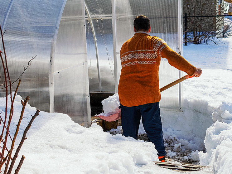 Ja siltumnīca ziemā ir tukša un tajā nekas nepārziemo, sniega nešana iekšā drīzāk ir fiziska nodarbe.