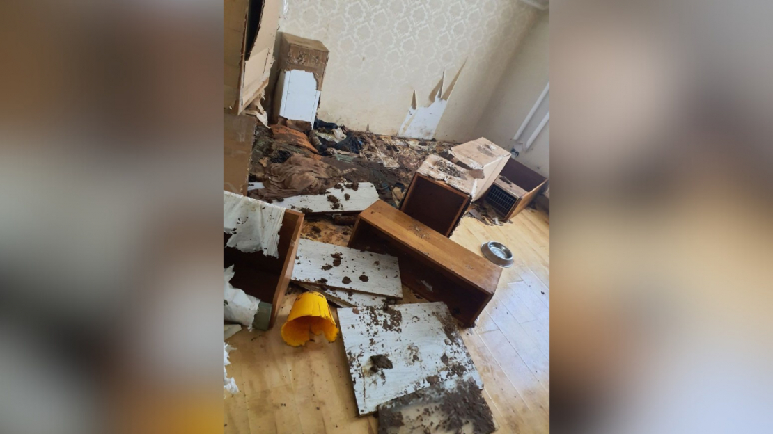 Pārtikas un veterinārais dienests no kādas saimniecības izņēmis 15 suņus un trīs kaķus.