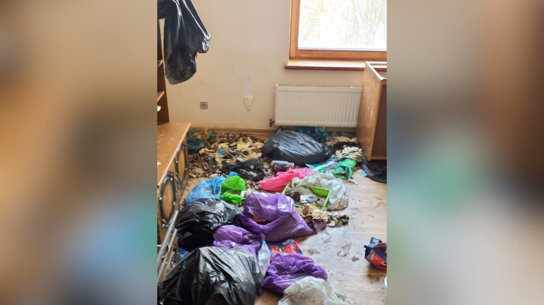 Pārtikas un veterinārais dienests no kādas saimniecības izņēmis 15 suņus un trīs kaķus.