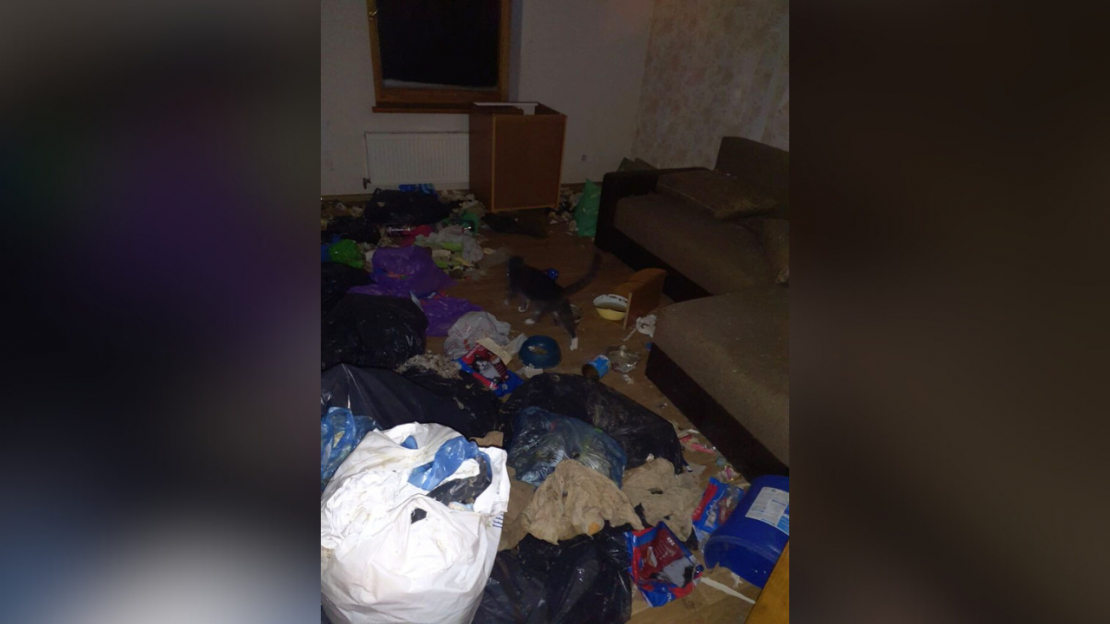 Pārtikas un veterinārais dienests no kādas saimniecības izņēmis 15 suņus un trīs kaķus.