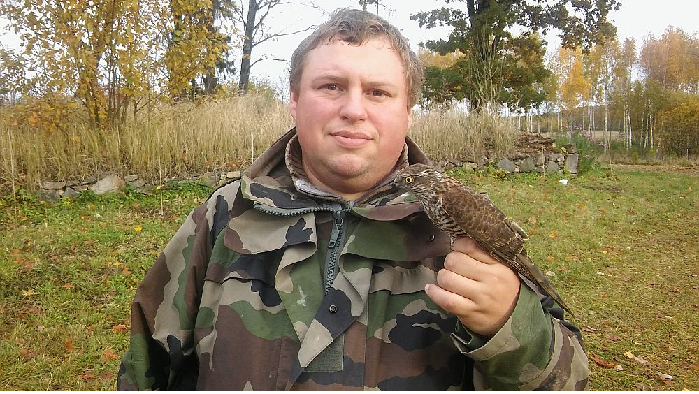 Dmitrijs Boiko ar zvirbuļvanagu, gredzenojot putnus.