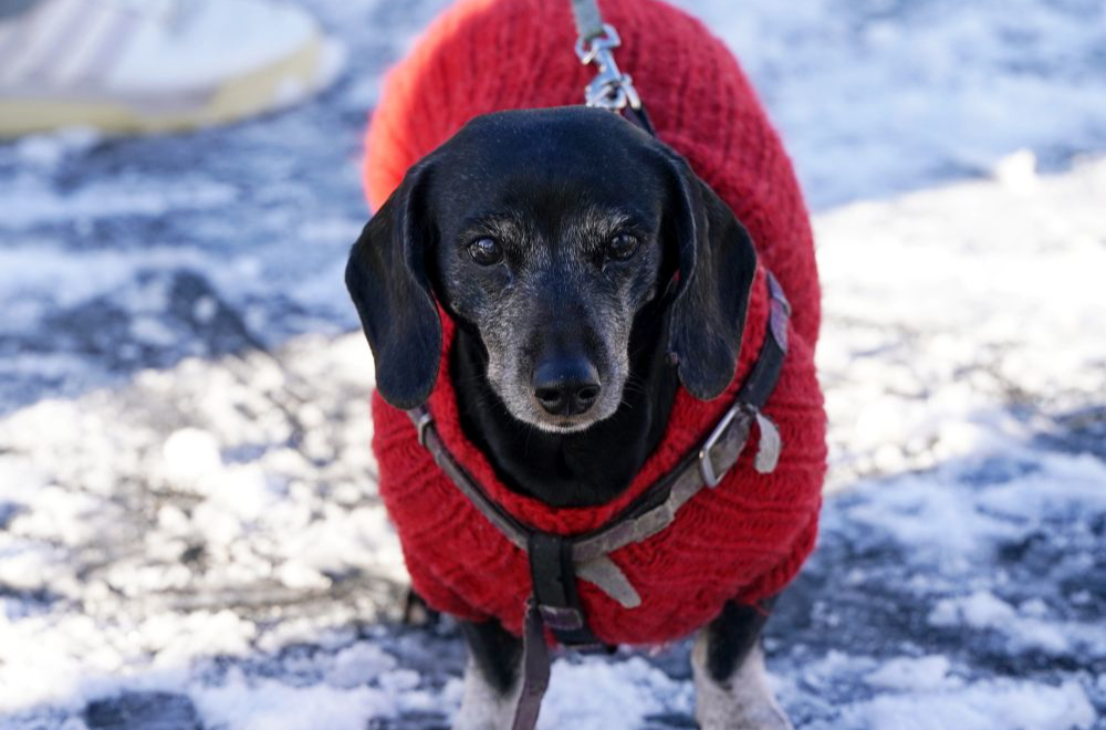 Ilustratīvs attēls.