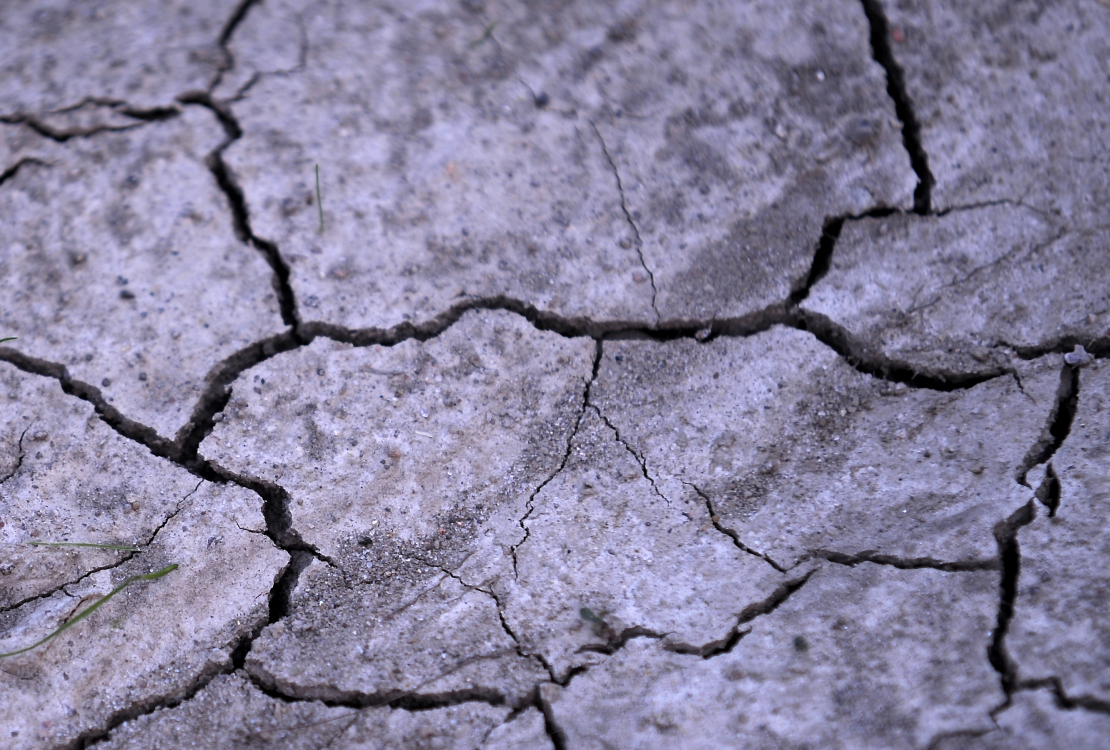 Sausa, saplaisājusi zeme.