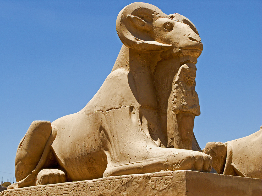 Ēģiptes auns no Karnakas tempļa (Luksora).