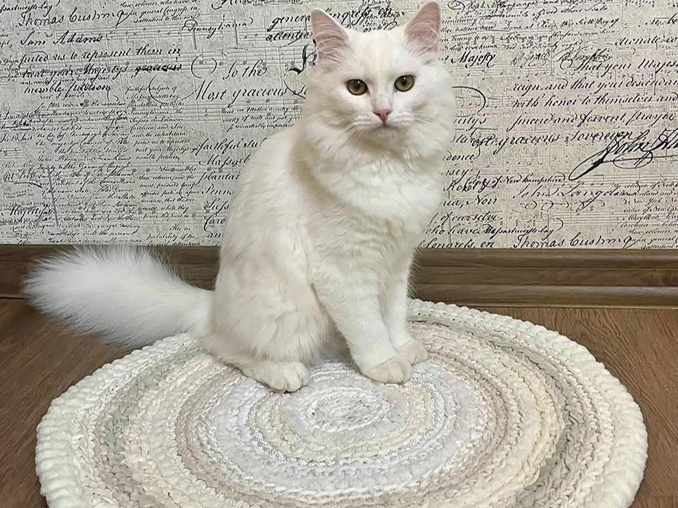 Tamborēts paklājiņš.