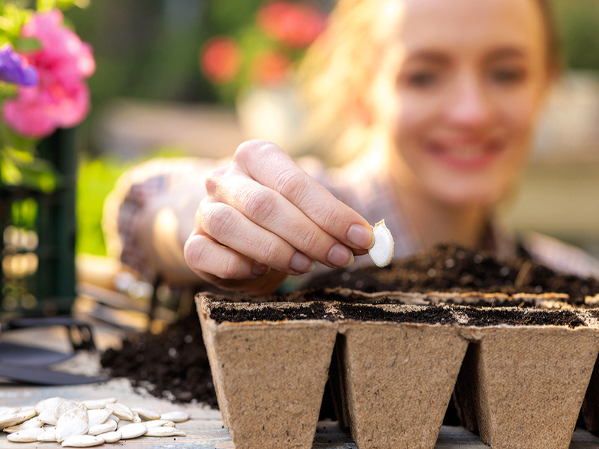 Ilustratīvs attēls.
