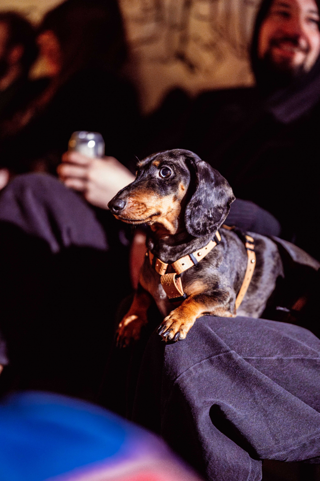 Grāmatas "Nekas man nepatīk" oficiālā atvēršana.