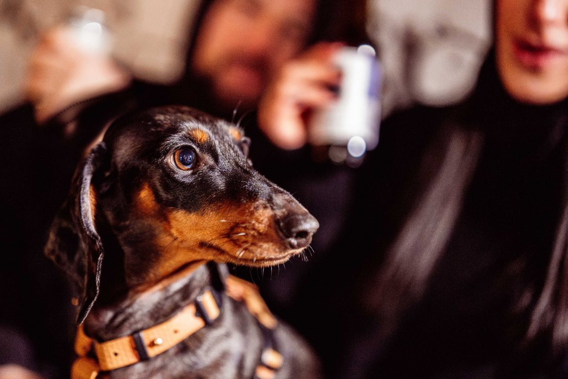 Grāmatas "Nekas man nepatīk" oficiālā atvēršana.