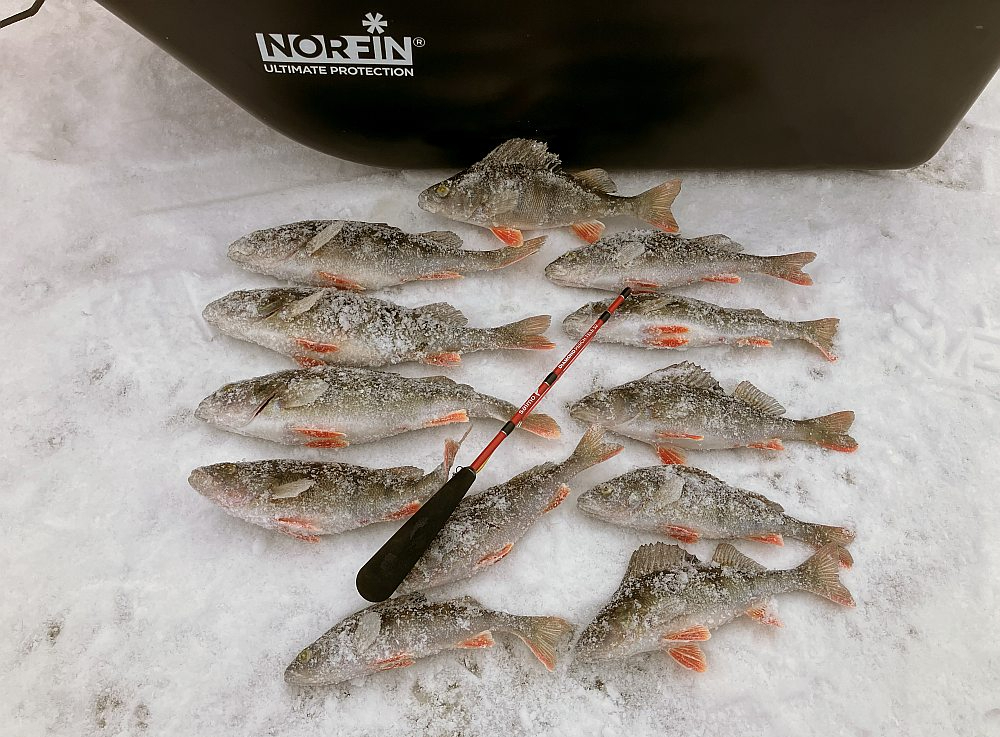 Ja copes stratēģija izvēlēta īstā, labs loms neizpaliek.