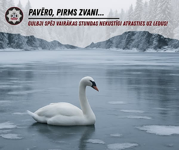 Valsts ugunsdzēsības un glābšanas dienests sociālajos tīklos raksta: "Tas, ka gulbis atrodas uz ūdenstilpes ledus, nenozīmē, ka viņš ir iesalis. Gulbji parasti tur vienkārši sēž. Aicinām – pirms zvana veikšanas uz 112, pavēro putnu! Gulbji spēj vairākas stundas nekustīgi atrasties uz ledus. Pavērojot putnu ilgāku laiku, visticamāk, pamanīsi, ka gulbis spēj kustēties. Uz 112 kontaktu centru zvani tikai tad, ja tam ir pamatots iemesls. Piemēram, gulbim ir redzams ievainojums. Ja rodas aizdomas, ka gulbis ir bezspēcīgā stāvoklī, tad vispirms zvani Latvijas savvaļas putnu palīdzības biedrībai "Drauga spārns" (tālr. 29420665) vai Latvijas Ornitoloģijas biedrībai (tālr. 67221580), lai konsultētos par savu novērojumu."