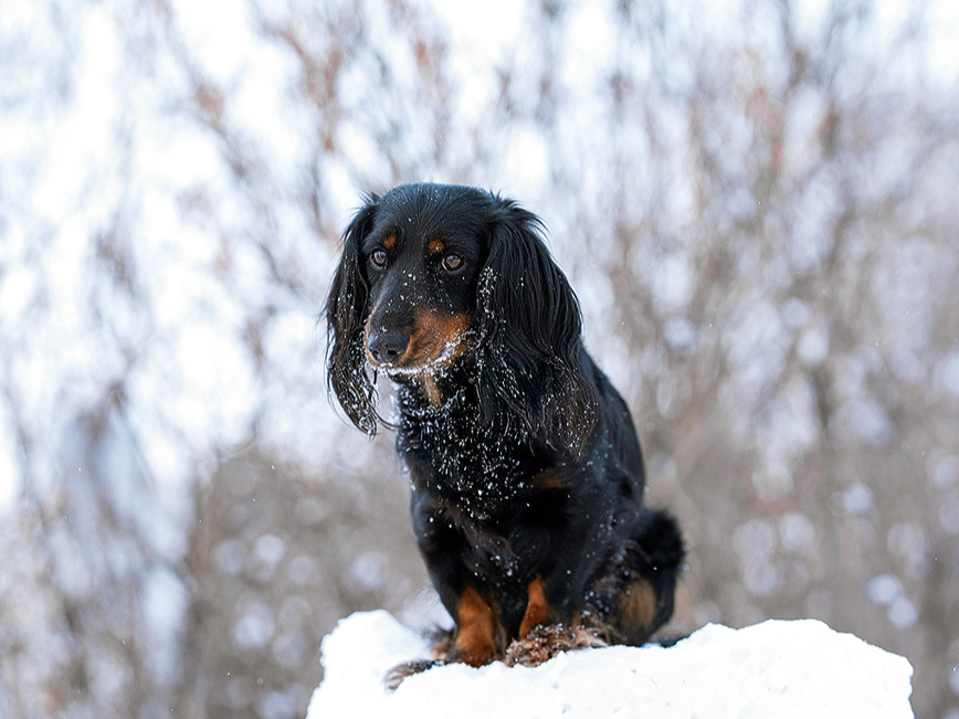 Ilustratīvs attēls.