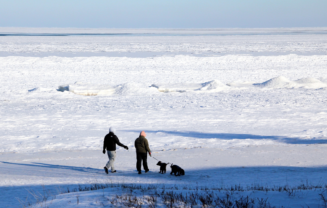 Cilvēki ar suņiem pludmalē ziemā. Ilustratīvs attēls.
