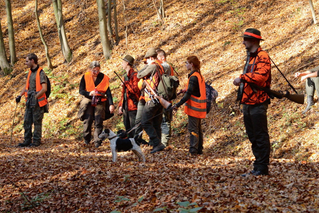 Slovākijā norāda – ar netīriem zābakiem uz medībām iet nedrīkst!
Medības ar plēsīgajiem putniem agrīnajos un viduslaikos ir dokumentētas daudzviet pasaulē.