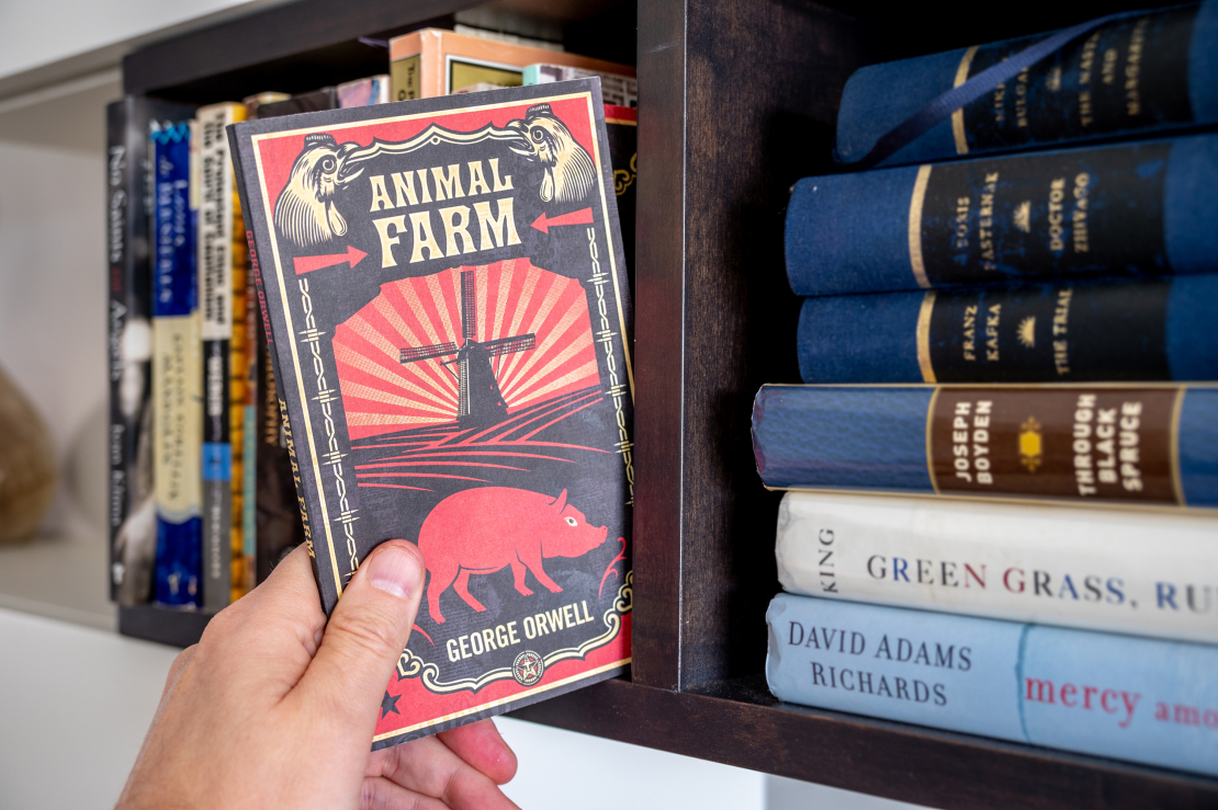 Tātad… visi dzīvnieki ir vienlīdzīgi, bet daži ir vienlīdzīgāki par citiem (Dž. Orvels "Dzīvnieku ferma").