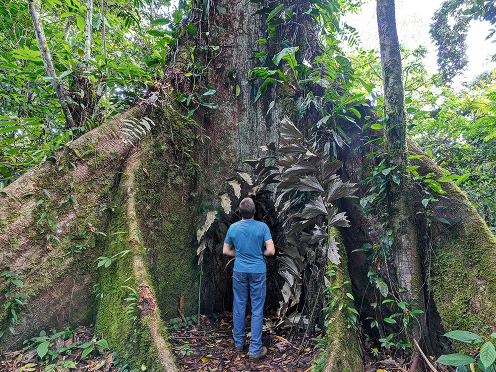 Amazones džungļos.