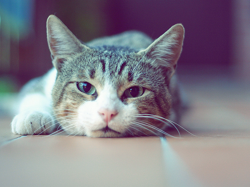 Ilustratīvs attēls.