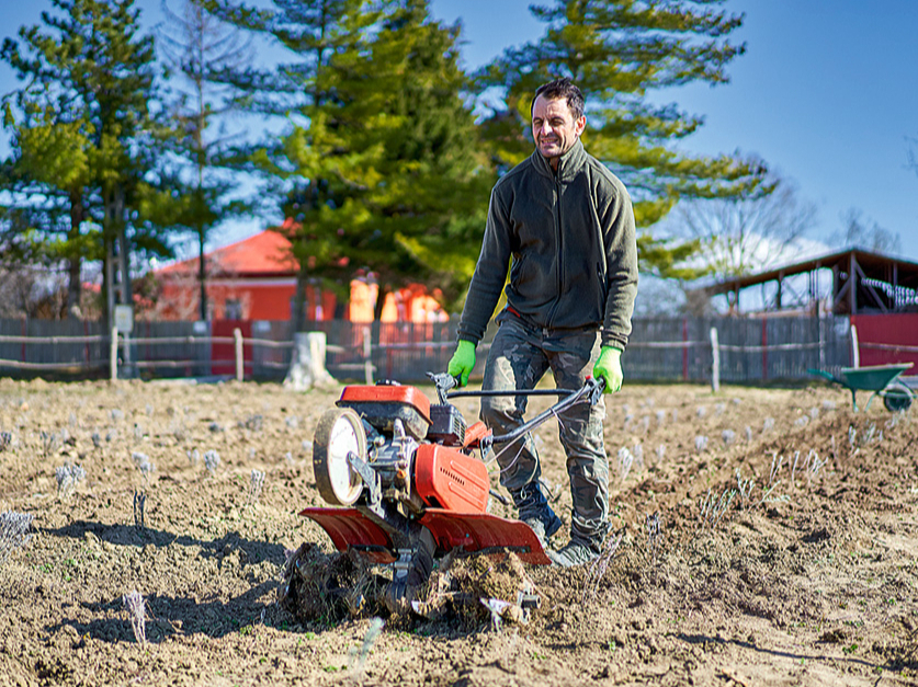 Lai augsne būtu irdenāka, vēlams to apstrādāt vismaz divas trīs reizes, pakāpeniski palielinot dziļumu.