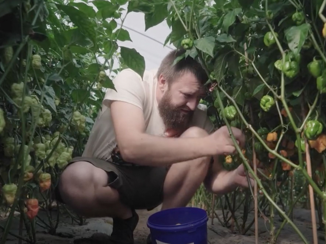 Jāņa Sviļa vaļasprieks – aso piparu audzēšana un dažādu produktu gatavošana – jau pāris gadus kļuvis arī par viņa pamatdarbu.