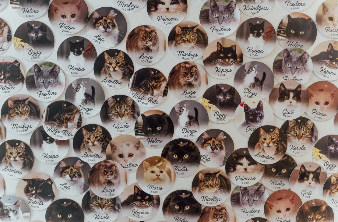 Grāmatas "Slepenā aģente Fifī. Latviete, kura mainīja likteņus" prezentācijas pasākums.