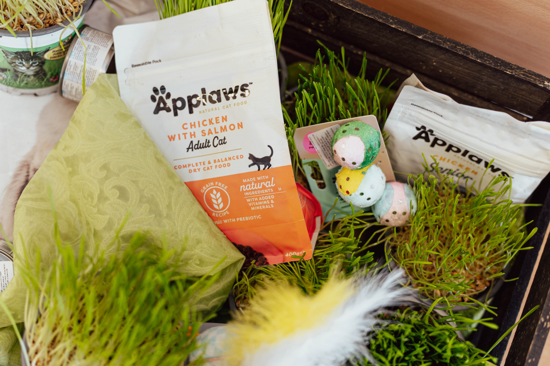 Grāmatas "Slepenā aģente Fifī. Latviete, kura mainīja likteņus" prezentācijas pasākums.