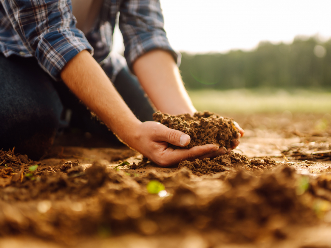 Augi, kas augs auglīgā, strukturētā augsnē, nenonāks stresa stāvoklī un dos labu ražu.