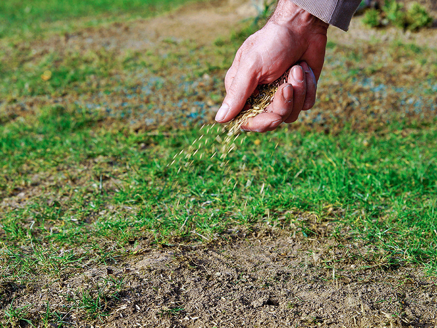 Pavasarī piesēj tukšās vietas.