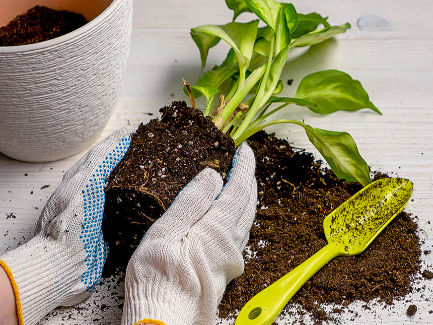 Ilustratīvs attēls.