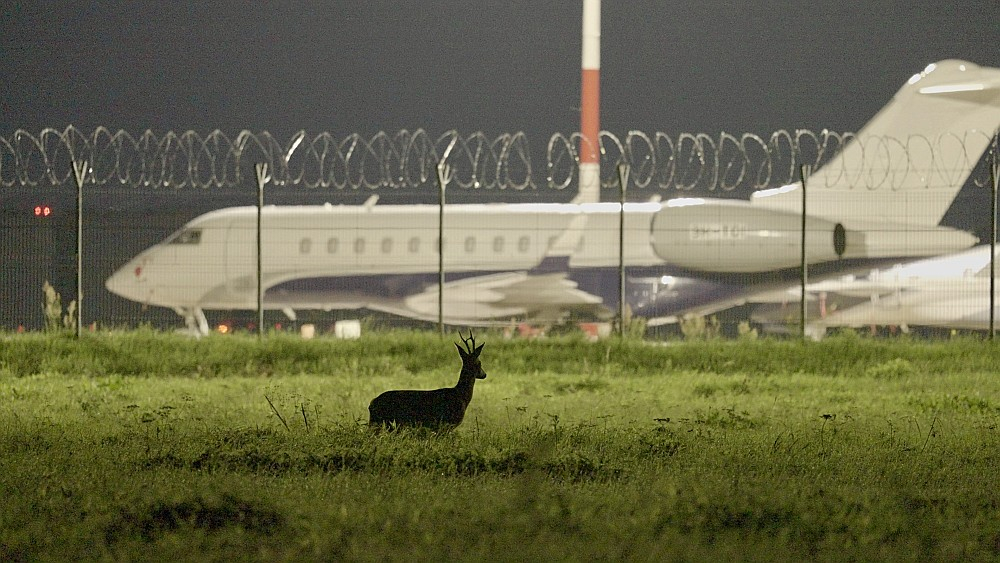 Filma dod iespēju nonākt lidostas pasažieriem slēgtajā un neredzamajā vidē, kur satiekas daba ar cilvēku radīto infrastruktūru.