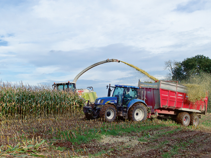 Pagājušajā sezonā laika apstākļi ietekmēja ne vien barības sagādes laiku, bet arī tās bioloģisko vērtību.