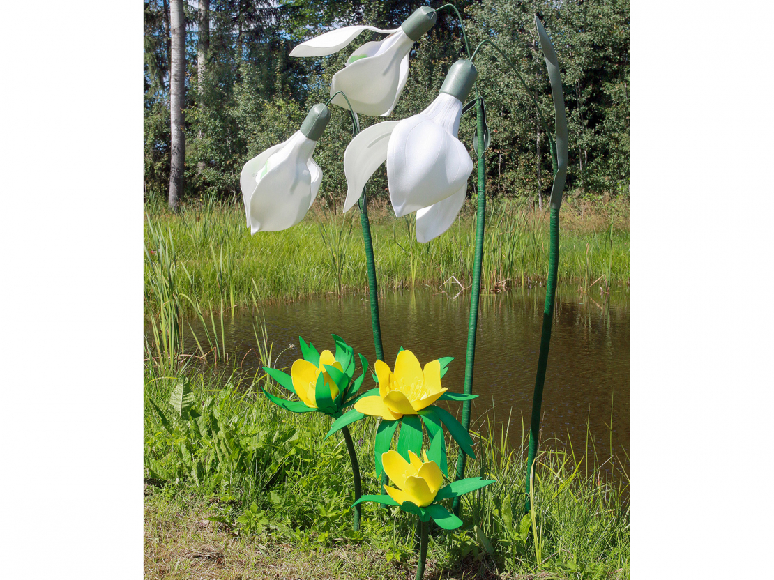 Ziedi no putu gumijas.